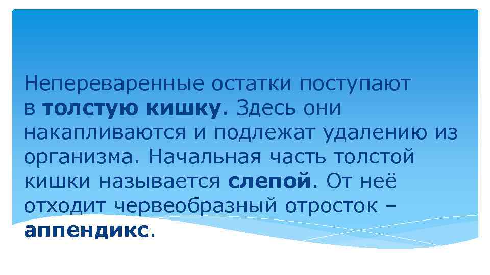 Непереваренные остатки поступают в толстую кишку. Здесь они накапливаются и подлежат удалению из организма.