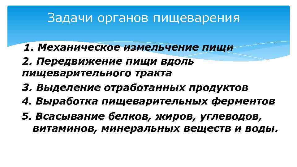 Задачи органов пищеварения 1. Механическое измельчение пищи 2. Передвижение пищи вдоль пищеварительного тракта 3.