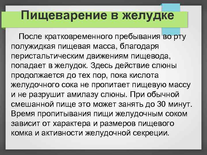 Пищеварение в желудке После кратковременного пребывания во рту полужидкая пищевая масса, благодаря перистальтическим движениям