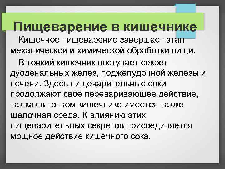 Пищеварение в кишечнике презентация