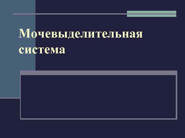 Мочевыделительная система 