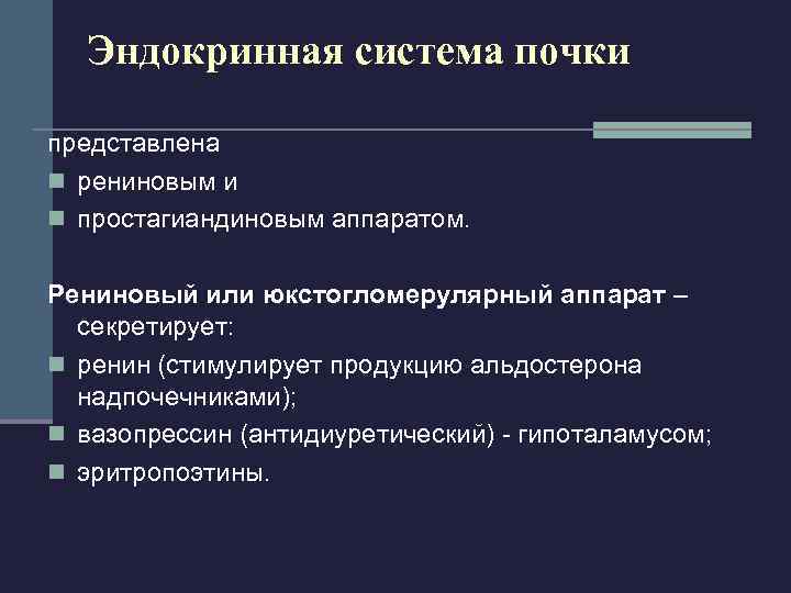  Мочевыводящие пути n почечные чашечки и лоханки; n мочеточники; n мочевой пузырь; n