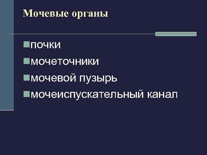 Мочевые органы nпочки nмочеточники nмочевой пузырь nмочеиспускательный канал 