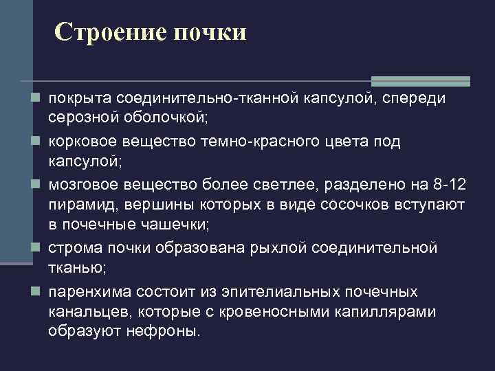   Строение почки n покрыта соединительно-тканной капсулой, спереди серозной оболочкой; n  корковое