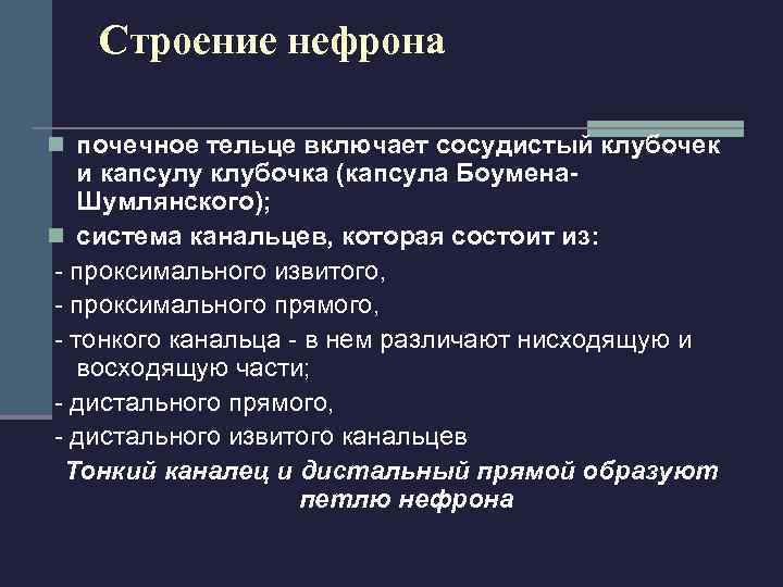  Расположение нефронов в почке n 1 -15 % нефронов расположены в корковом веществе