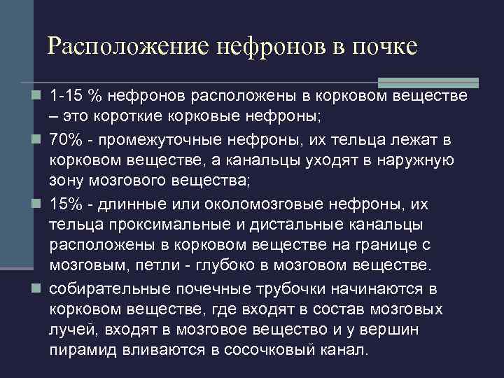 корковое вещество образовано n почечным тельцем; n извитыми проксимальными и  дистальными канальцами; n