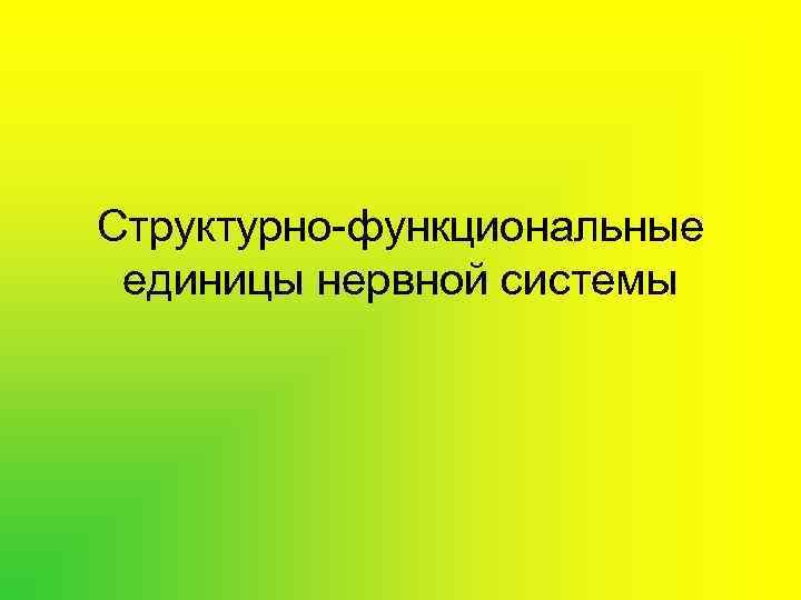 Структурно-функциональные единицы нервной системы 