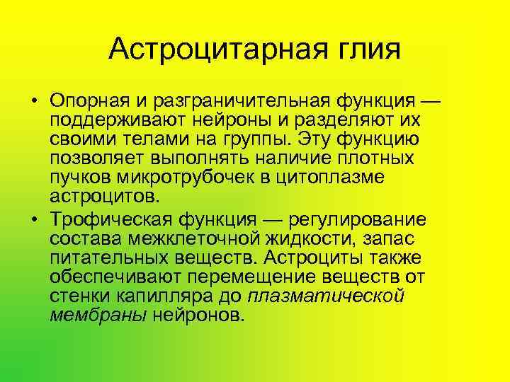  Астроцитарная глия • Опорная и разграничительная функция — поддерживают нейроны и разделяют их