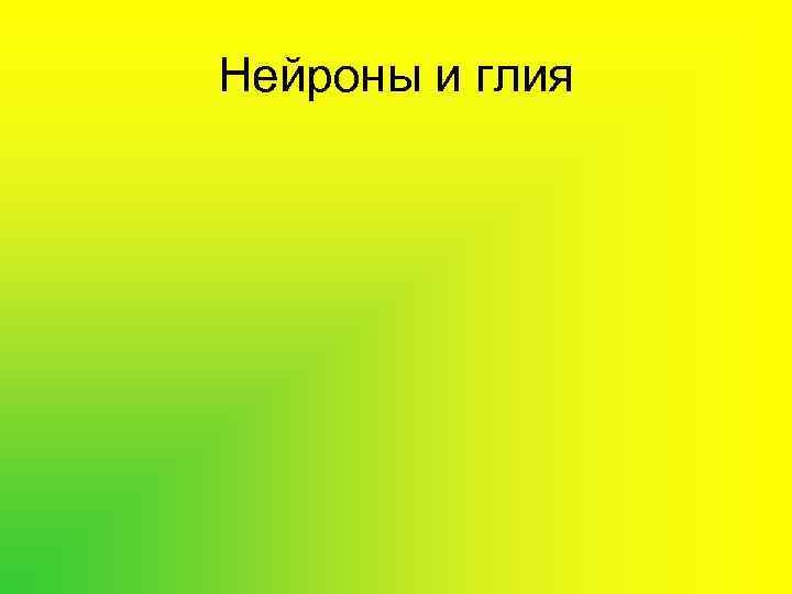 Нейроны и глия 