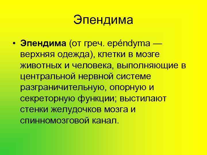  Эпендима • Эпендима (от греч. epéndyma — верхняя одежда), клетки в мозге животных