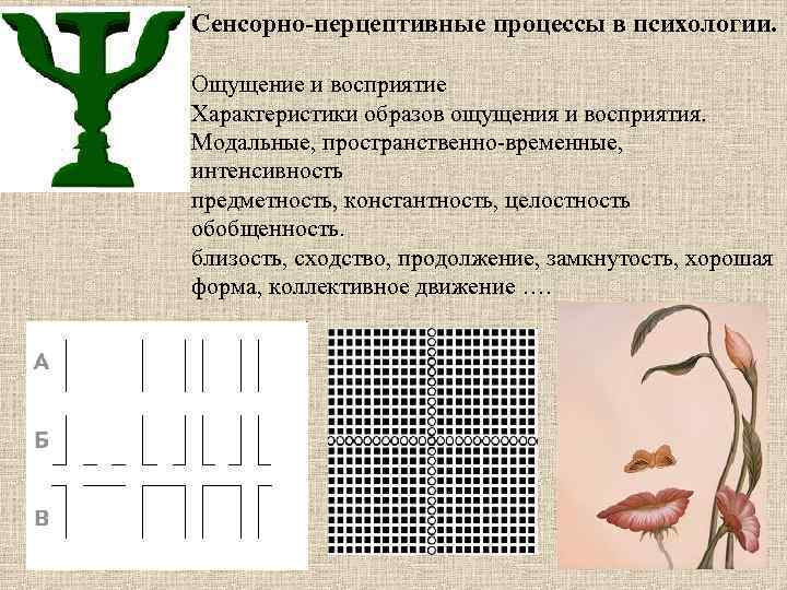 Предметность тематики и образов. Сенсорно-перцептивные процессы это. Сенсорно-перцептивные процессы это в психологии. Перцептивные процессы - восприятие. Сенсорно-перцептивные процессы в психике..