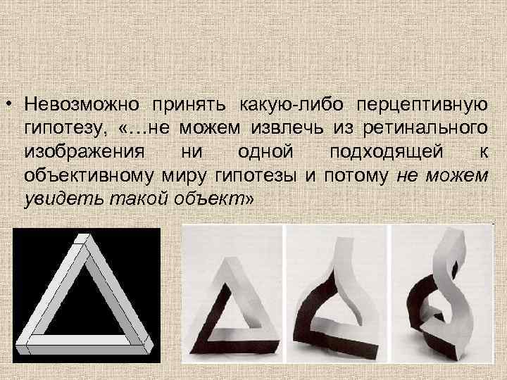  • Невозможно принять какую-либо перцептивную гипотезу, «…не можем извлечь из ретинального изображения ни