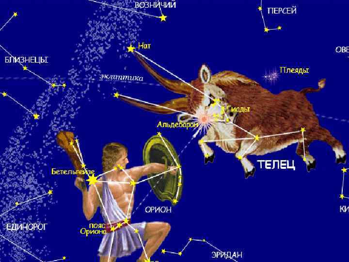 ЗАЯЦ выпрыгнул с разгону Прямо в ноги к ОРИОНУ! Не опасен ОРИОН – На
