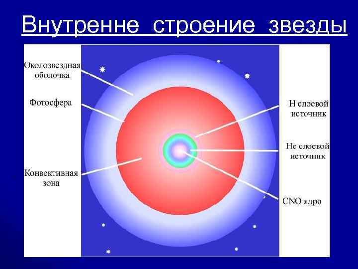  Внутренне строение звезды 
