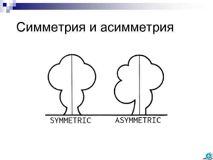 Симметрия и асимметрия 