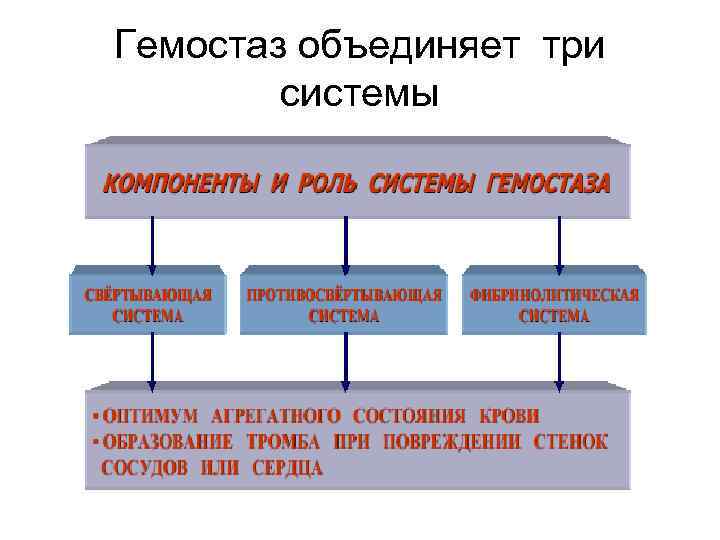 Гемостаз объединяет три системы 