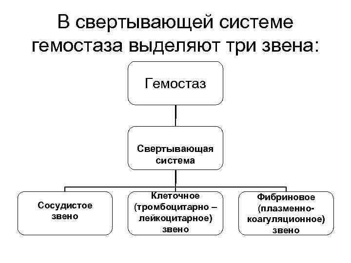 Звенья системы. Клеточное звено гемостаза. Звенья системы гемостаза. Три звена системы гемостаза. Звенья свертывающей системы.