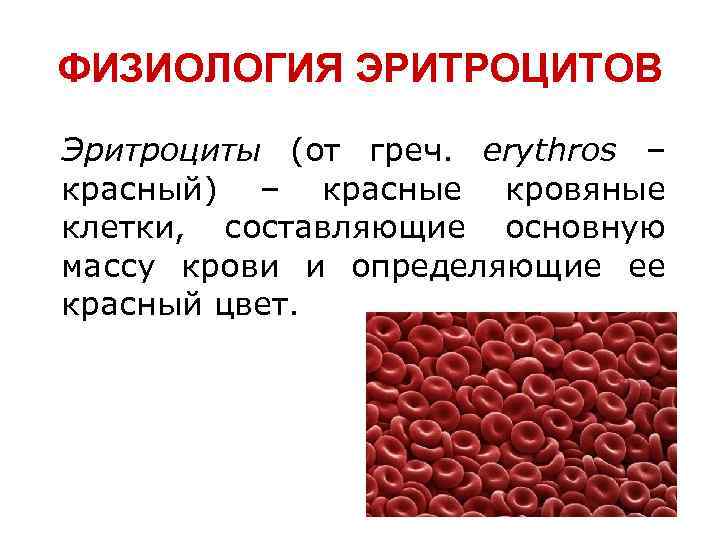 Место разрушения клеток крови