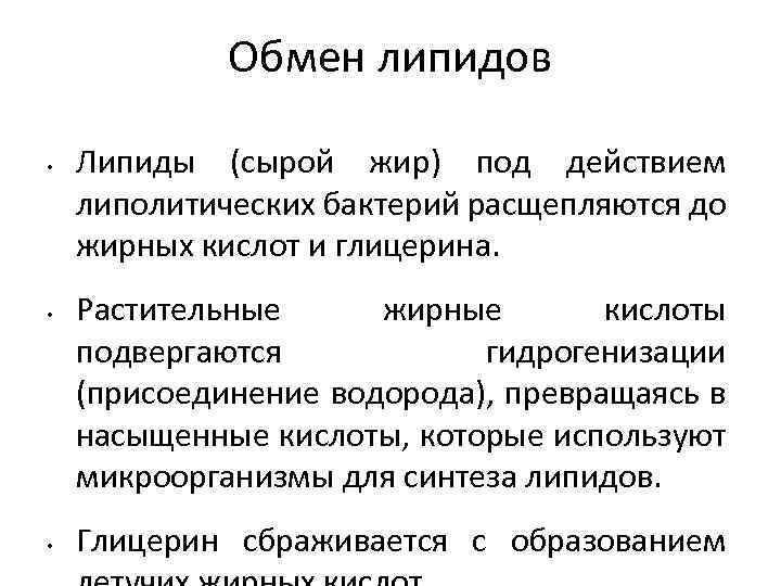 Обмен липидов • • • Липиды (сырой жир) под действием липолитических бактерий расщепляются до