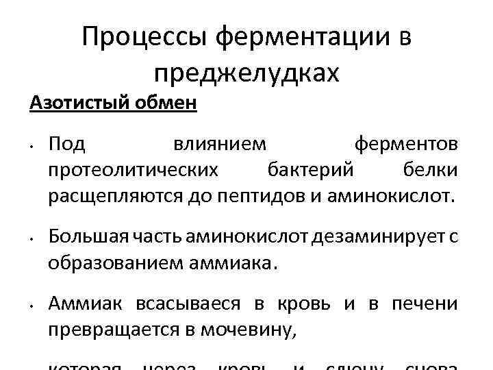 Процессы ферментации в преджелудках Азотистый обмен • • • Под влиянием ферментов протеолитических бактерий