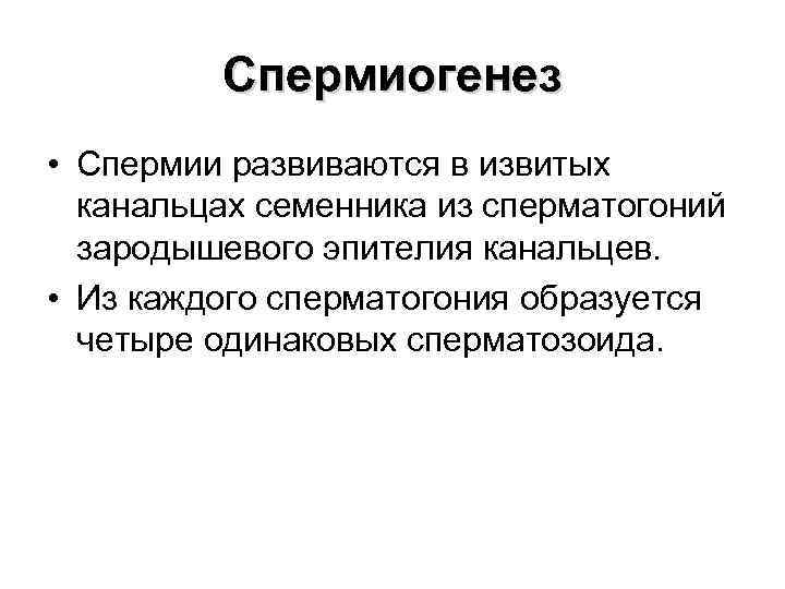 Спермиогенез • Спермии развиваются в извитых канальцах семенника из сперматогоний зародышевого эпителия канальцев. •