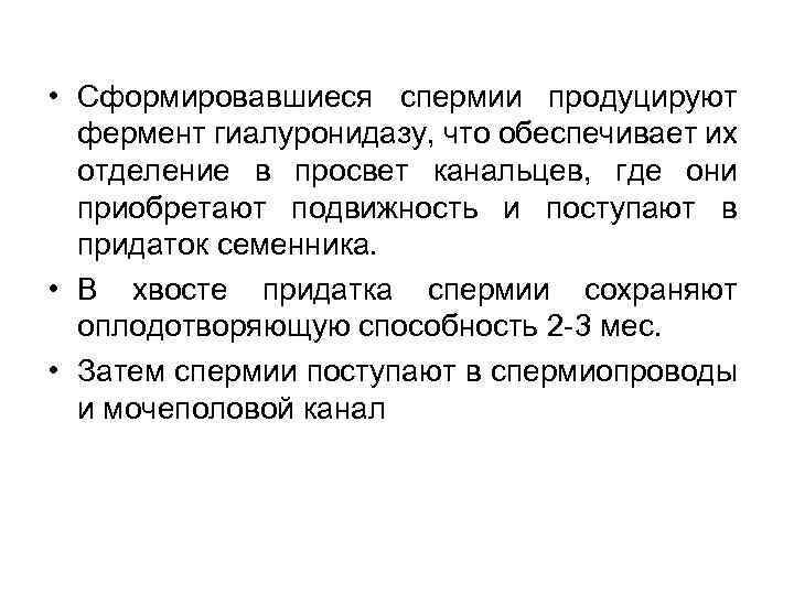  • Сформировавшиеся спермии продуцируют фермент гиалуронидазу, что обеспечивает их отделение в просвет канальцев,