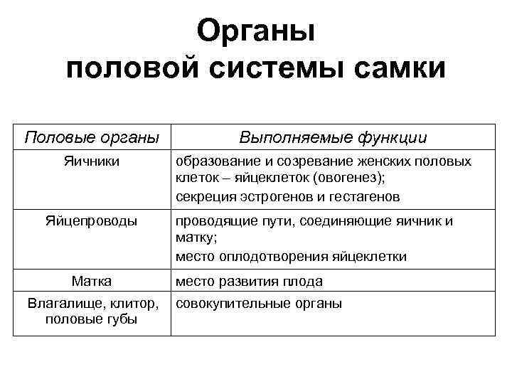 Органы половой системы самки Половые органы Яичники Яйцепроводы Матка Выполняемые функции образование и созревание