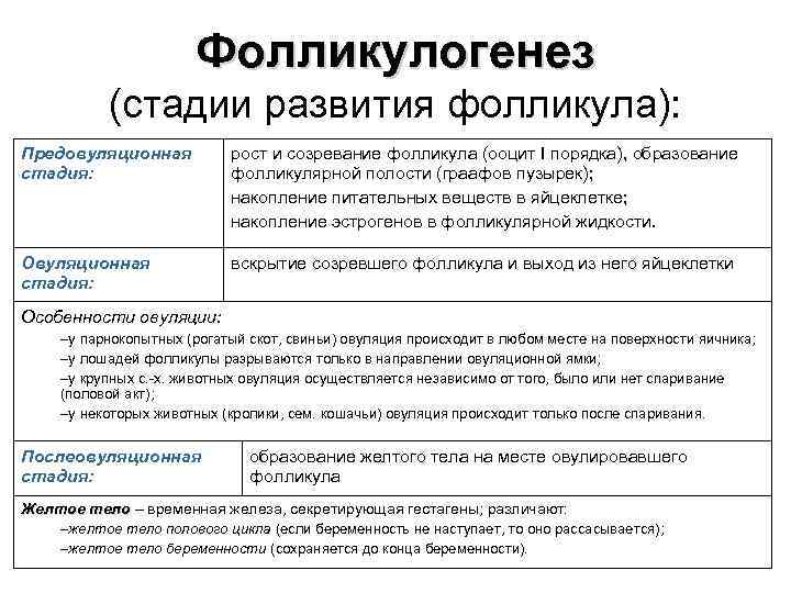 Фолликулогенез (стадии развития фолликула): Предовуляционная стадия: рост и созревание фолликула (ооцит I порядка), образование