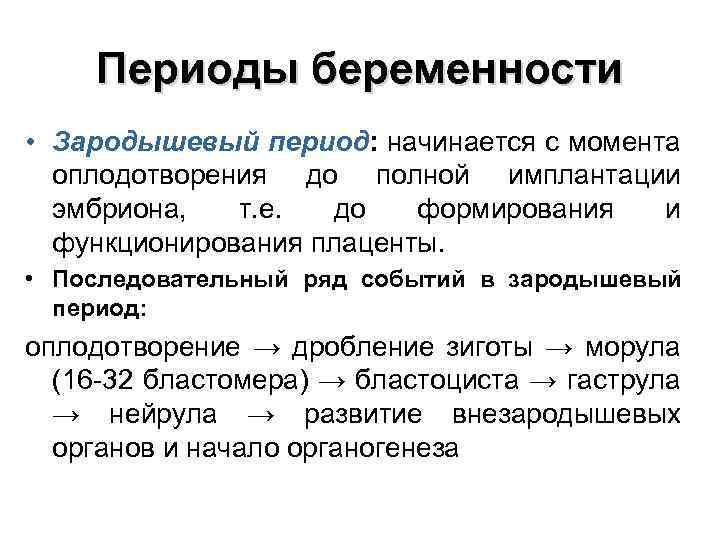 Периоды беременности • Зародышевый период: начинается с момента оплодотворения до полной имплантации эмбриона, т.