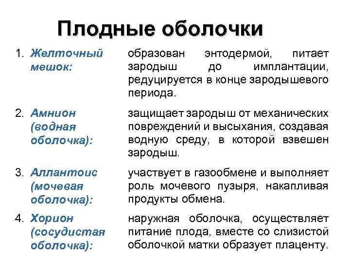 Плодные оболочки 1. Желточный мешок: образован энтодермой, питает зародыш до имплантации, редуцируется в конце