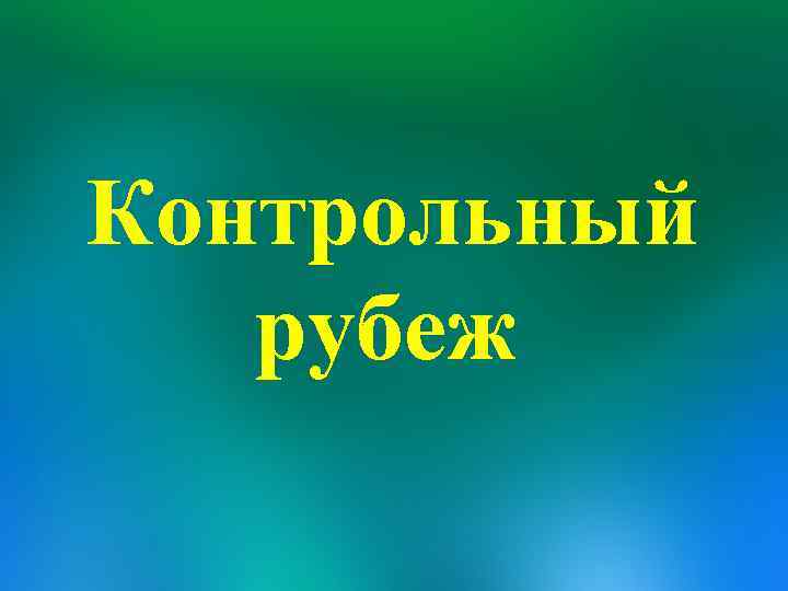 Контрольный рубеж 