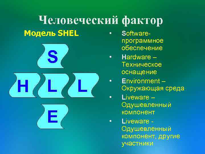 Человеческий фактор Модель SHEL • S • H L E L • • •