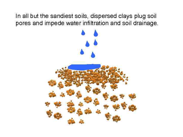 In all but the sandiest soils, dispersed clays plug soil pores and impede water