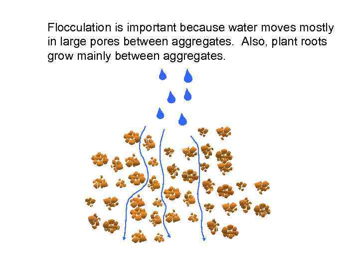 Flocculation is important because water moves mostly in large pores between aggregates. Also, plant