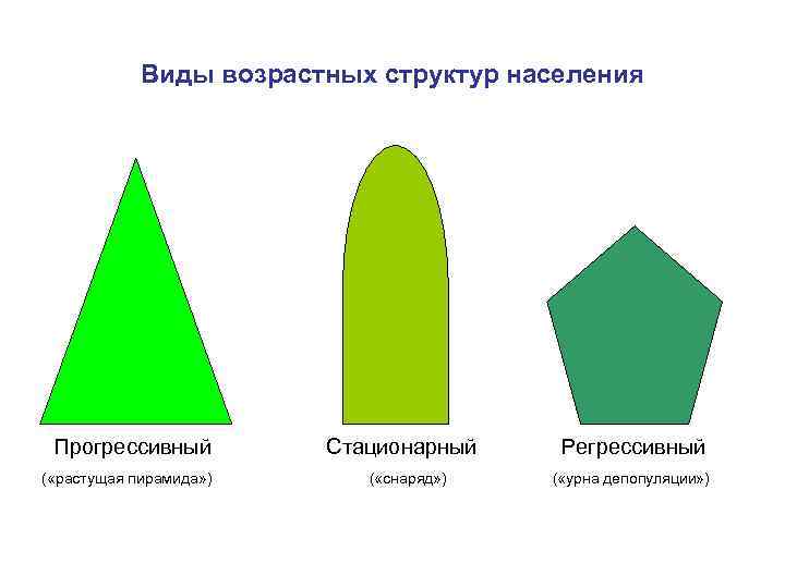 Типы возрастной структуры