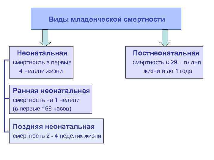 Виды младенческой смертности Неонатальная Постнеонатальная смертность в первые смертность с 29 – го дня