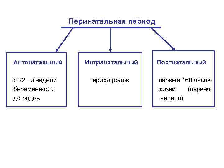 Перинатальная период Антенатальный Интранатальный Постнатальный с 22 –й недели период родов первые 168 часов