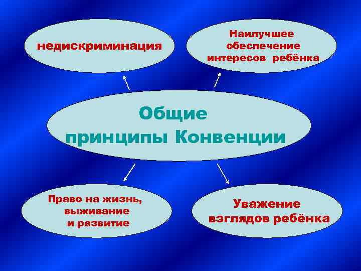 недискриминация Наилучшее обеспечение интересов ребёнка Общие принципы Конвенции Право на жизнь, выживание и развитие