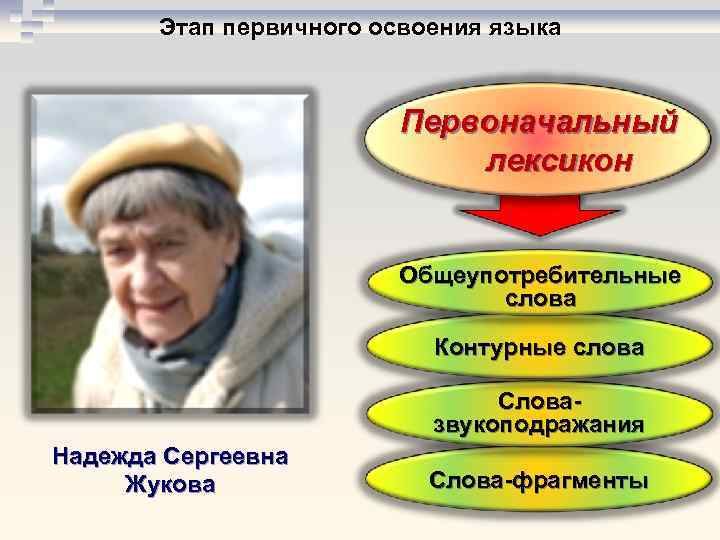 Этап первичного освоения языка Первоначальный лексикон Общеупотребительные слова Контурные слова Словазвукоподражания Надежда Сергеевна Жукова