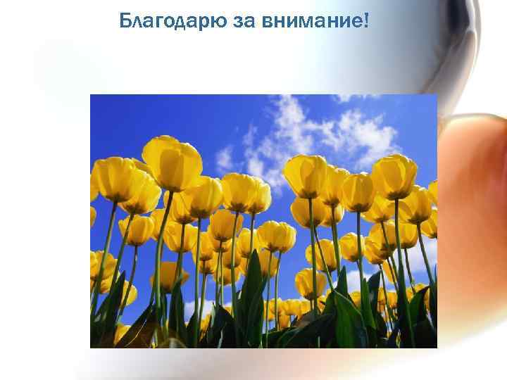 Благодарю за внимание! 