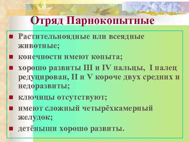 Отряд Парнокопытные n n n Растительноядные или всеядные животные; конечности имеют копыта; хорошо развиты