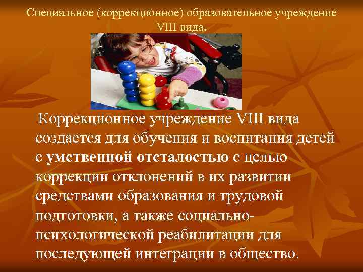 Специальное (коррекционное) образовательное учреждение VIII вида. Коррекционное учреждение VIII вида создается для обучения и