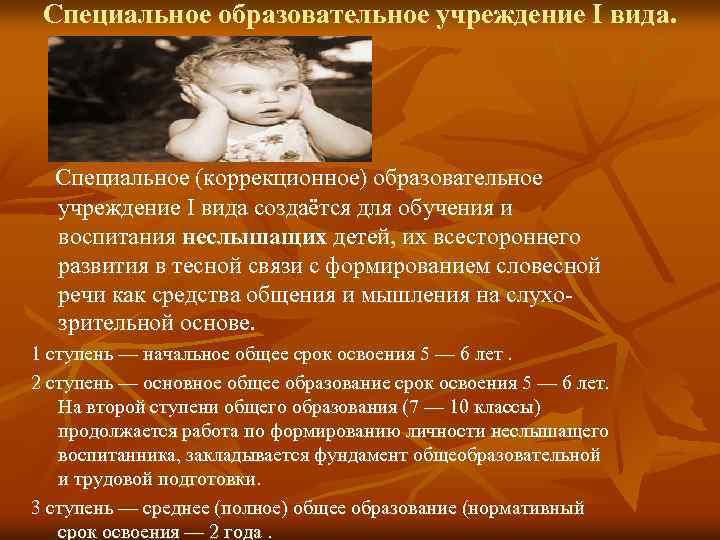 Специальное образовательное учреждение I вида. Специальное (коррекционное) образовательное учреждение I вида создаётся для обучения
