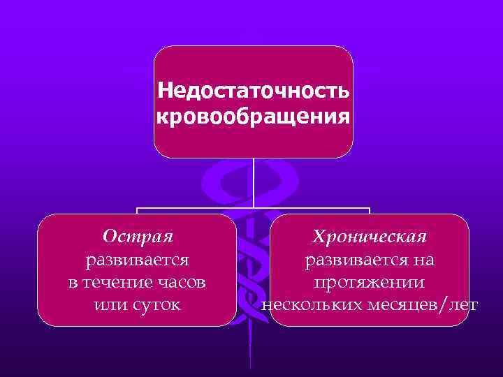 Недостаточность кровообращения Острая развивается в течение часов или суток Хроническая развивается на протяжении нескольких