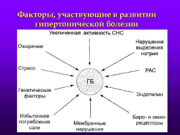 Факторы, участвующие в развитии гипертонической болезни 