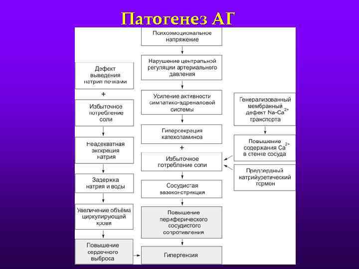 Патогенез АГ 