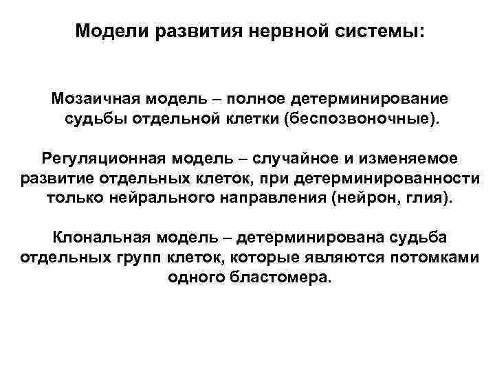 Модели развития нервной системы: Мозаичная модель – полное детерминирование судьбы отдельной клетки (беспозвоночные). Регуляционная