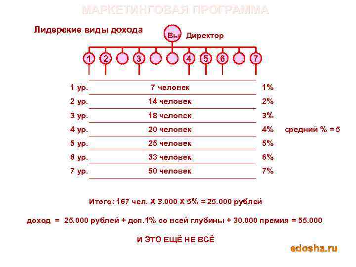 МАРКЕТИНГОВАЯ ПРОГРАММА Лидерские виды дохода 1 2 3 Вы Директор 4 5 6 7