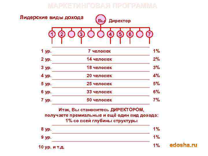 МАРКЕТИНГОВАЯ ПРОГРАММА Лидерские виды дохода 1 2 3 Вы Директор 4 5 6 7