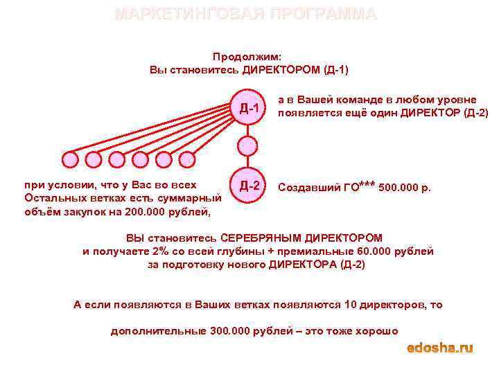 МАРКЕТИНГОВАЯ ПРОГРАММА Продолжим: Вы становитесь ДИРЕКТОРОМ (Д-1) Д-1 при условии, что у Вас во